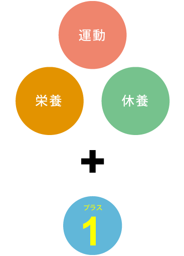 クアオルトとは