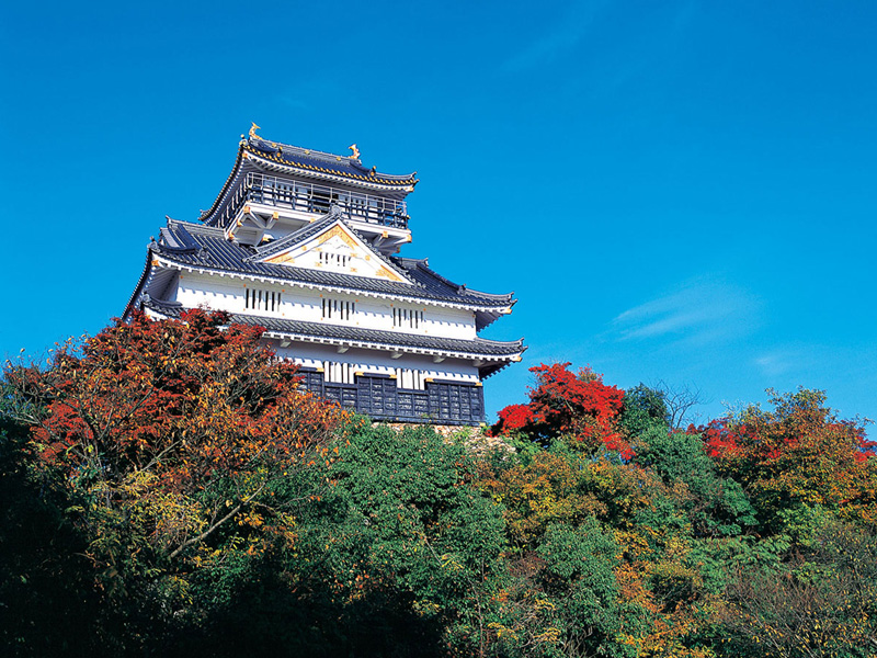 岐阜市